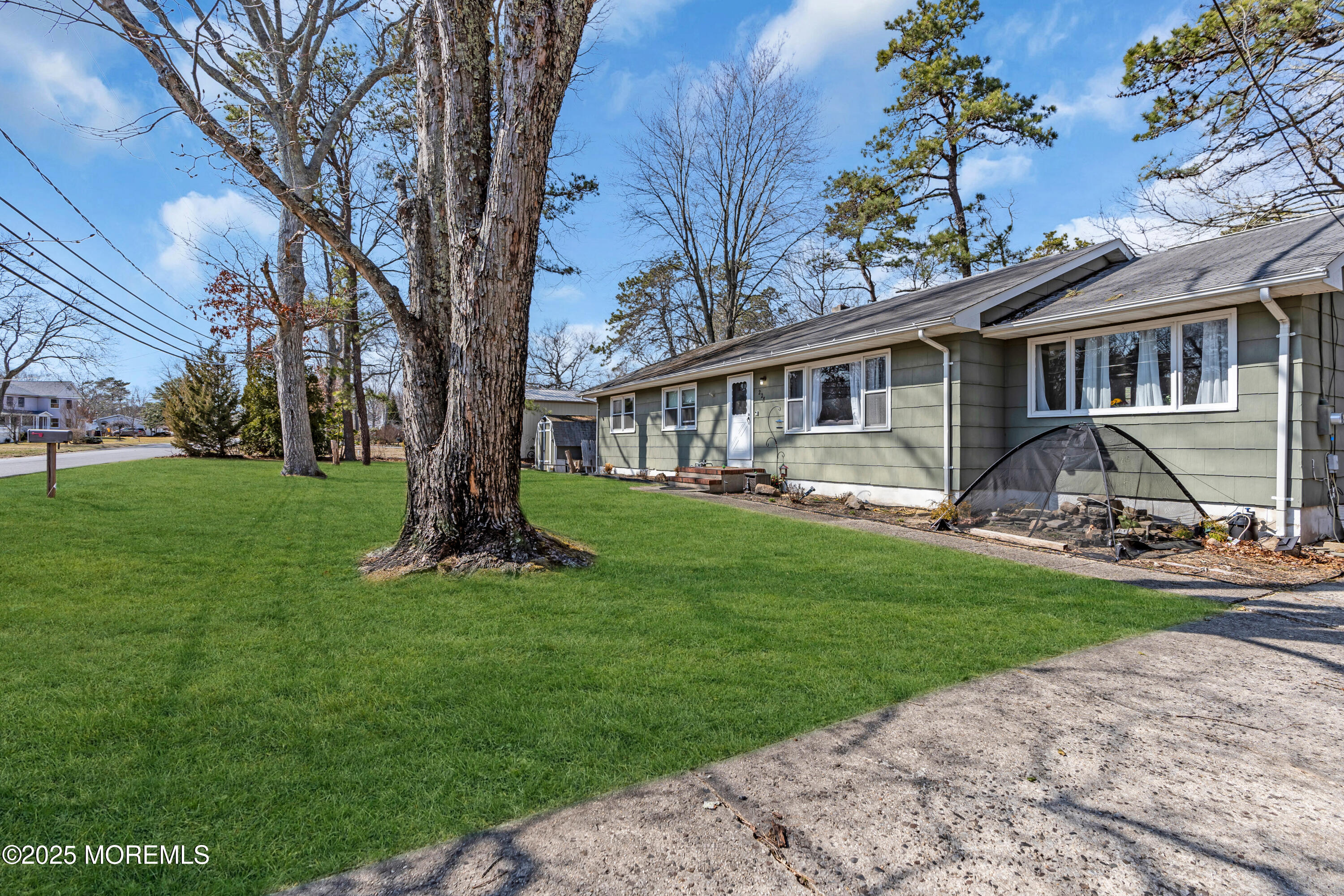 228 Elizabeth Avenue Image 5