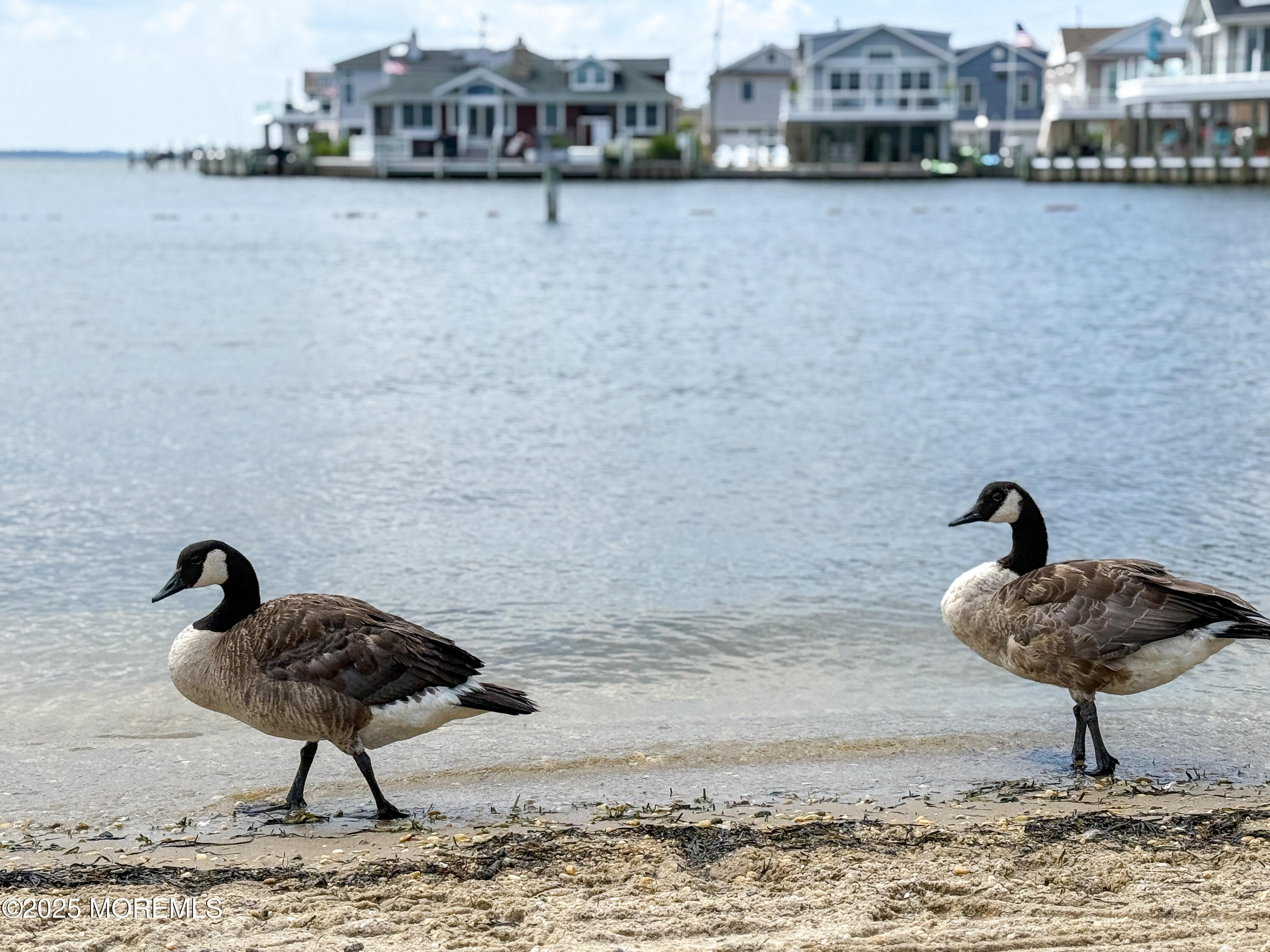 3365 Heron Lane, Lavallette, NJ, 08735 image 55