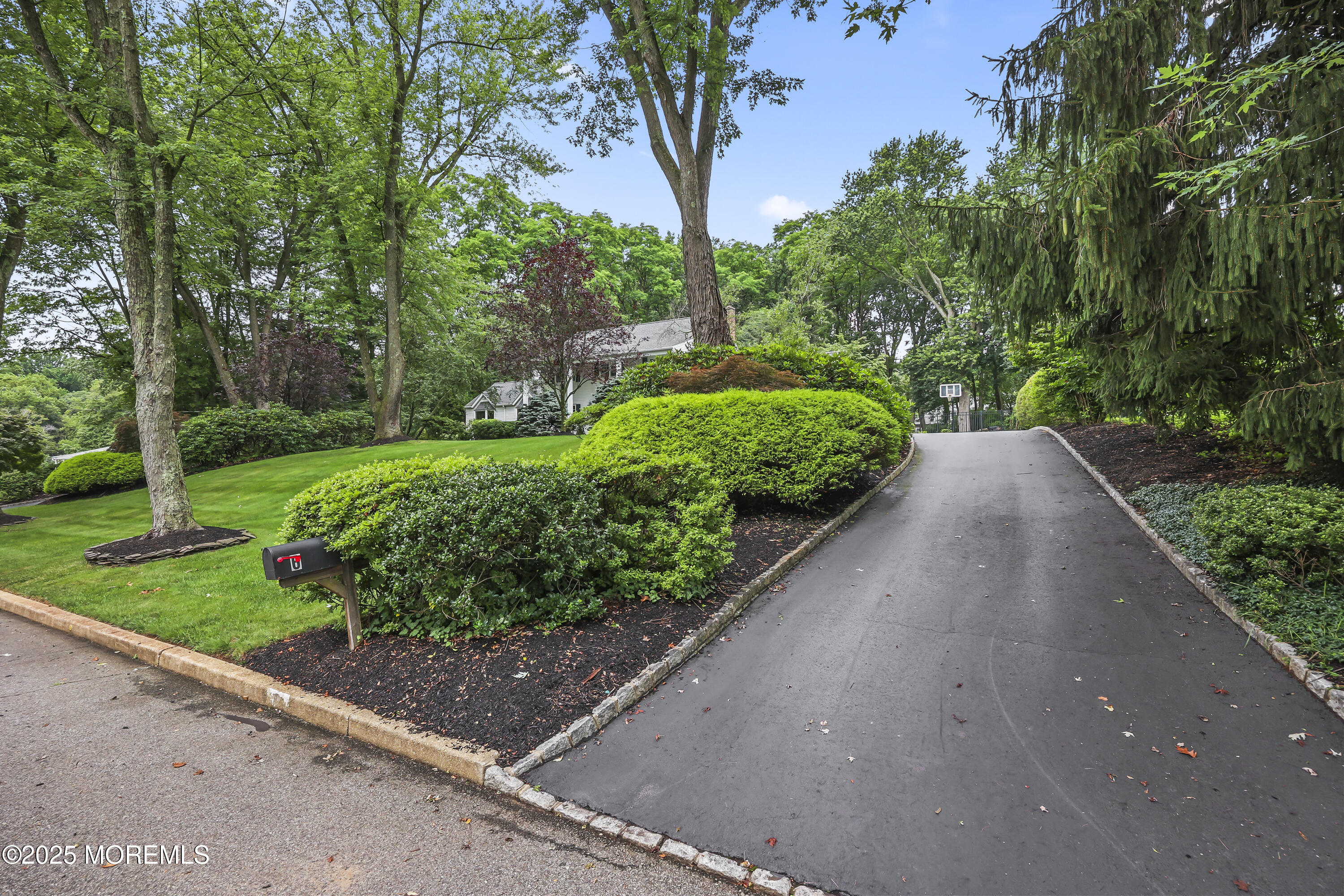 6 Stoecker Road Image 3