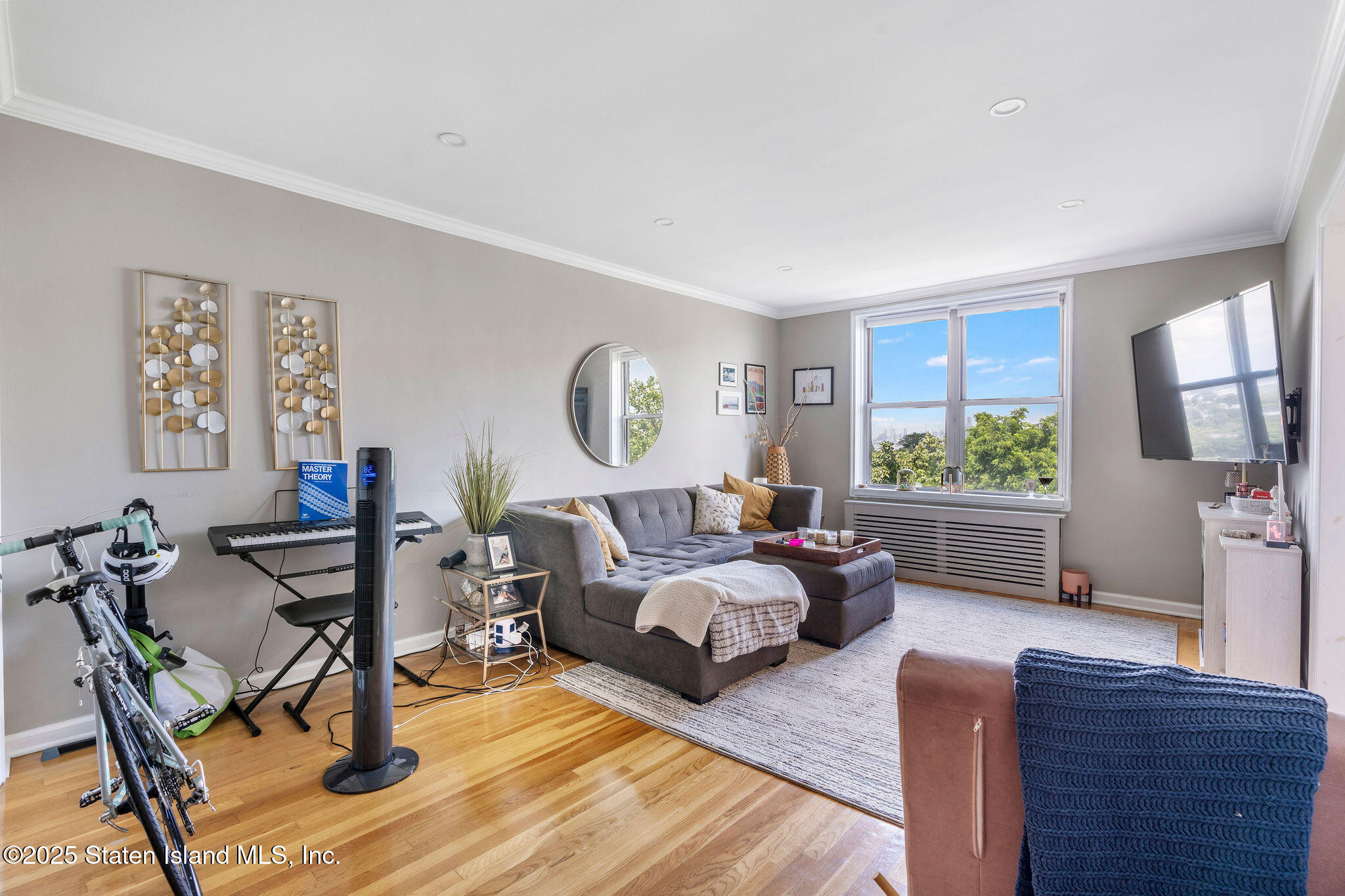 55 Austin Place 7m, Staten Island, NY, 10304 image 16