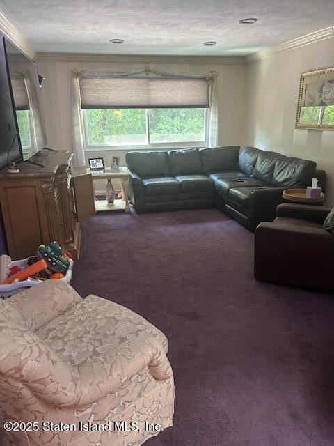 45 Daffodil Court, Staten Island, NY, 10312 image 9