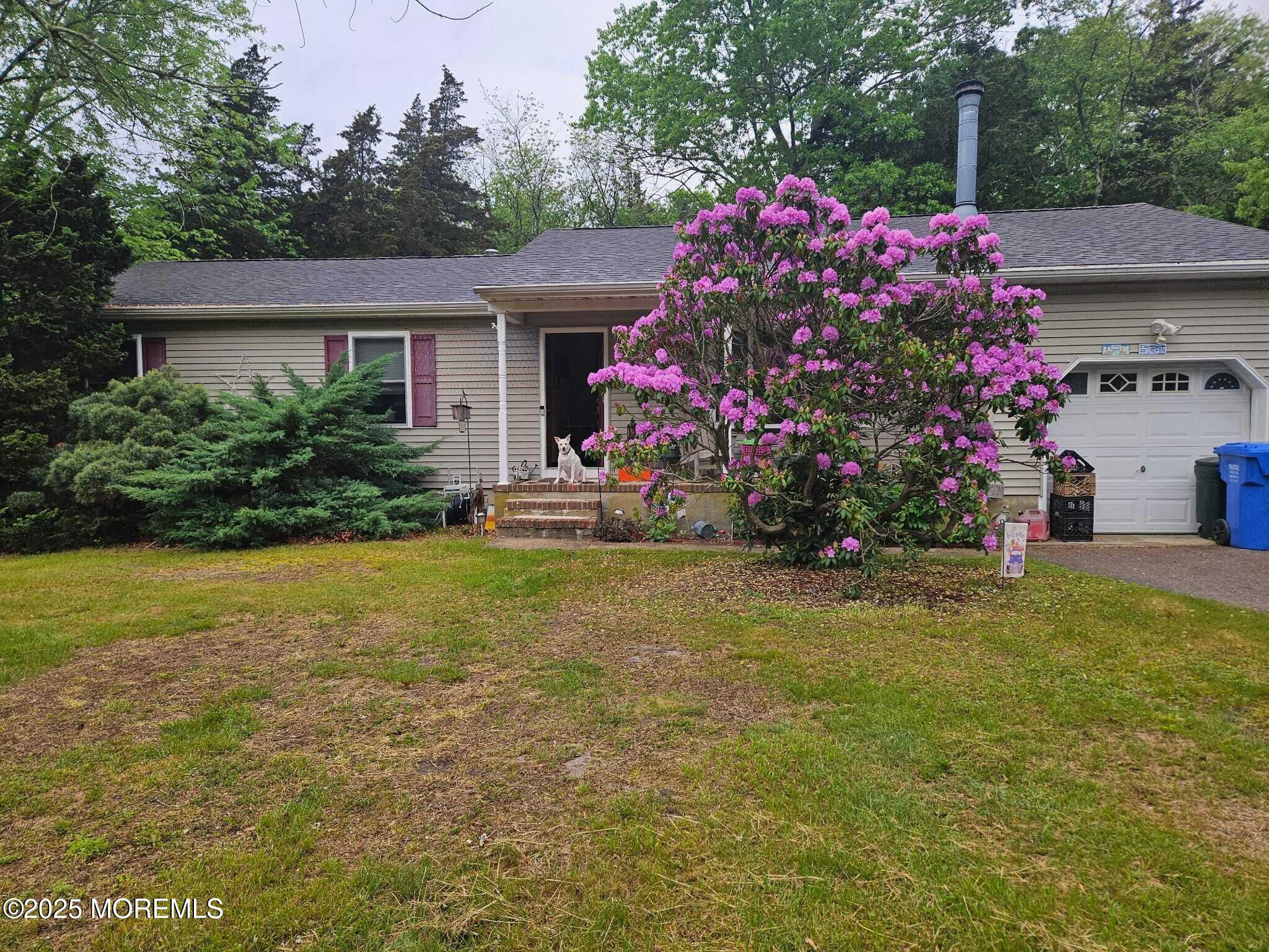 124 Cedar Swamp Road, Jackson, NJ, 08527