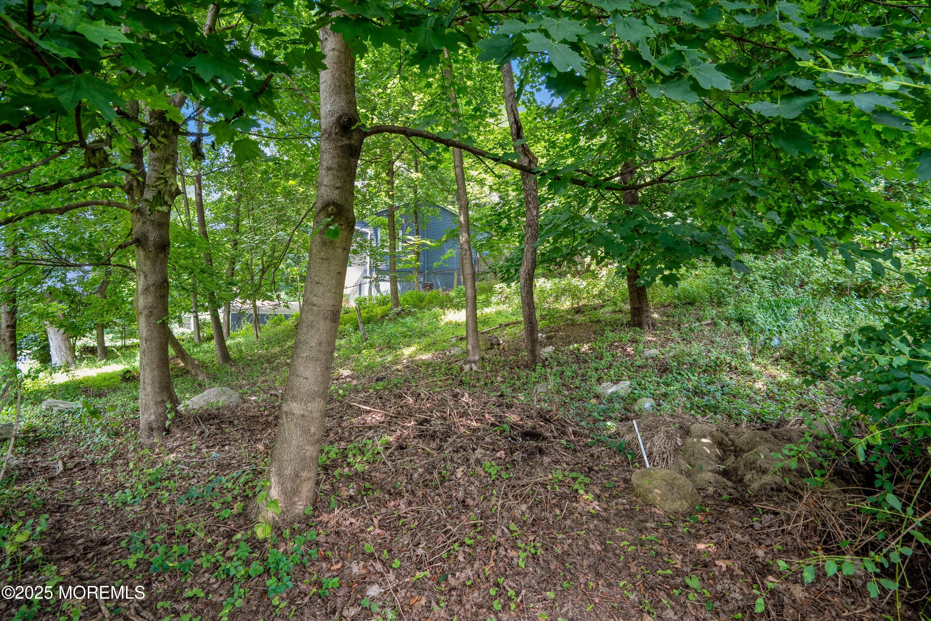 491 Mt Pleasant Avenue, West Orange, NJ, 07052 image 40