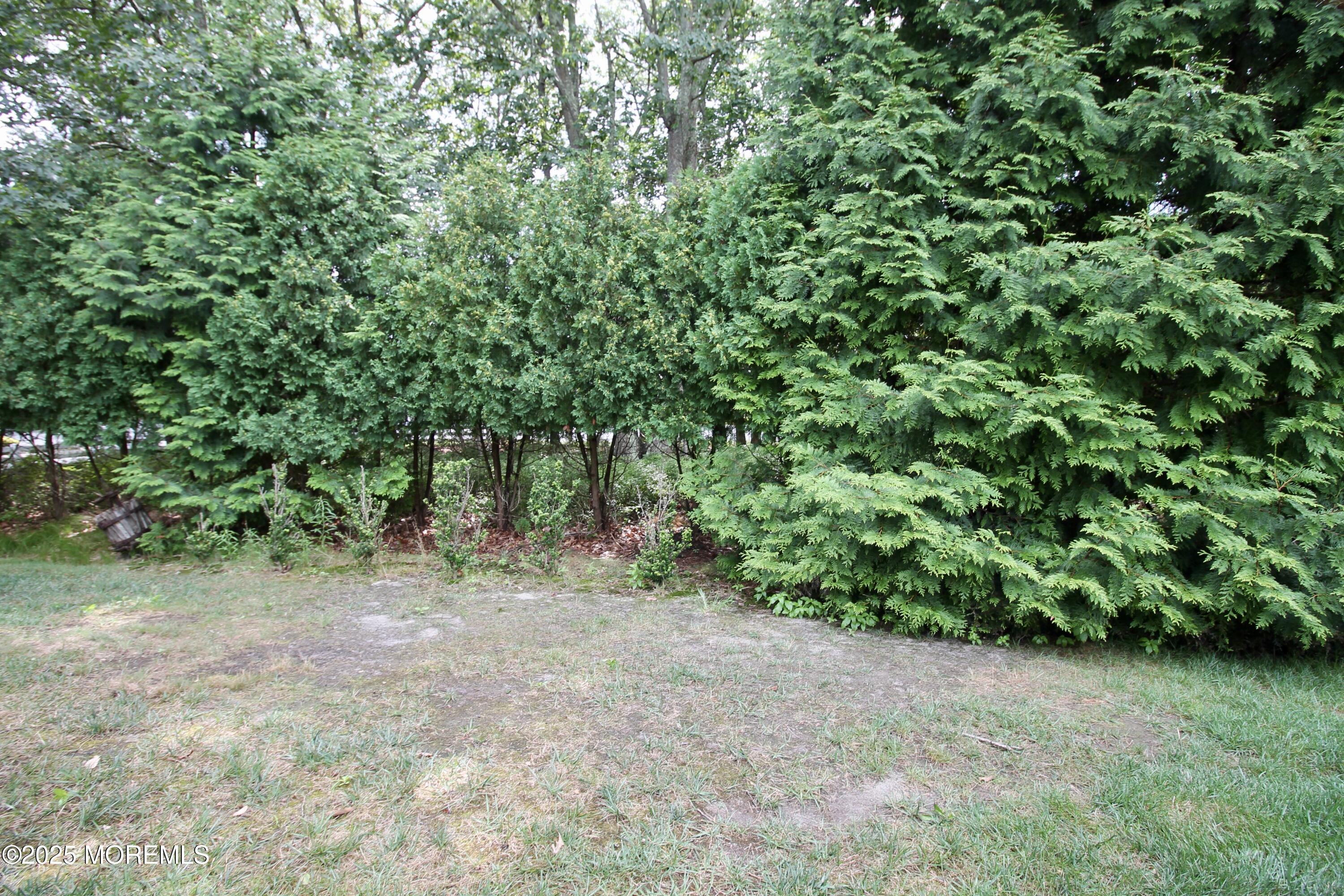 2 Dowing Lane, Jackson, NJ, 08527 image 51
