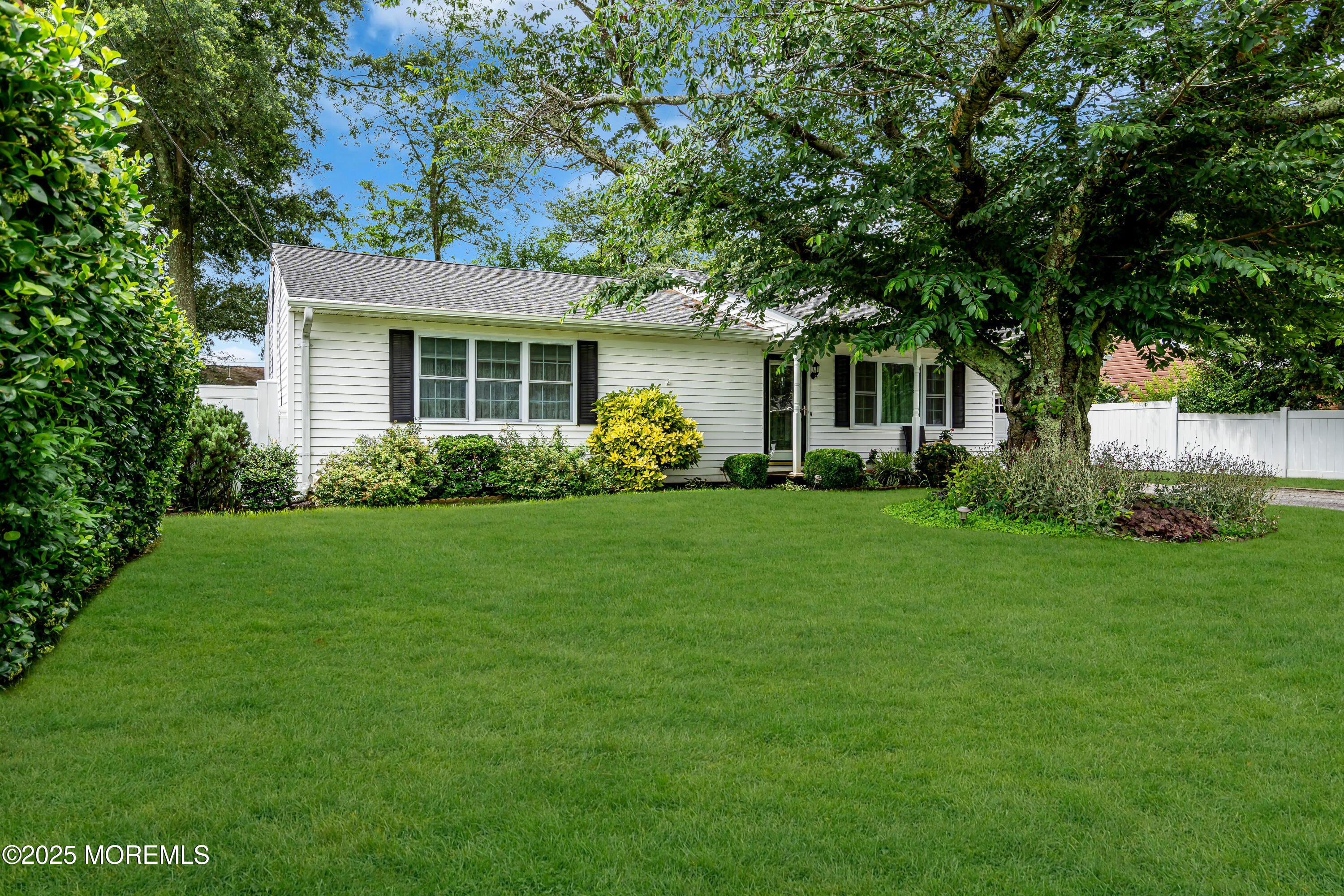 311 Pine Forest Lane Image 3