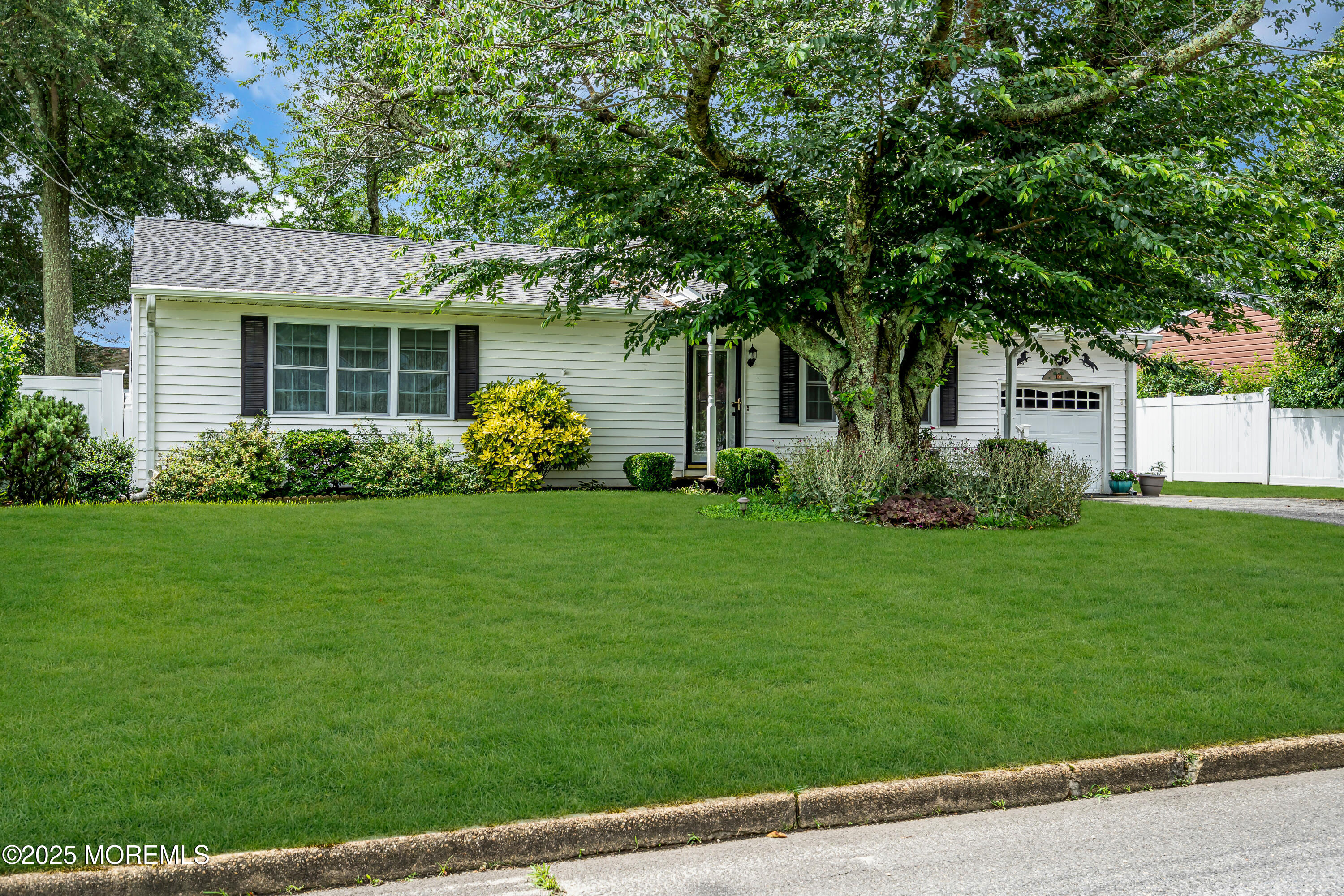 311 Pine Forest Lane Image 4