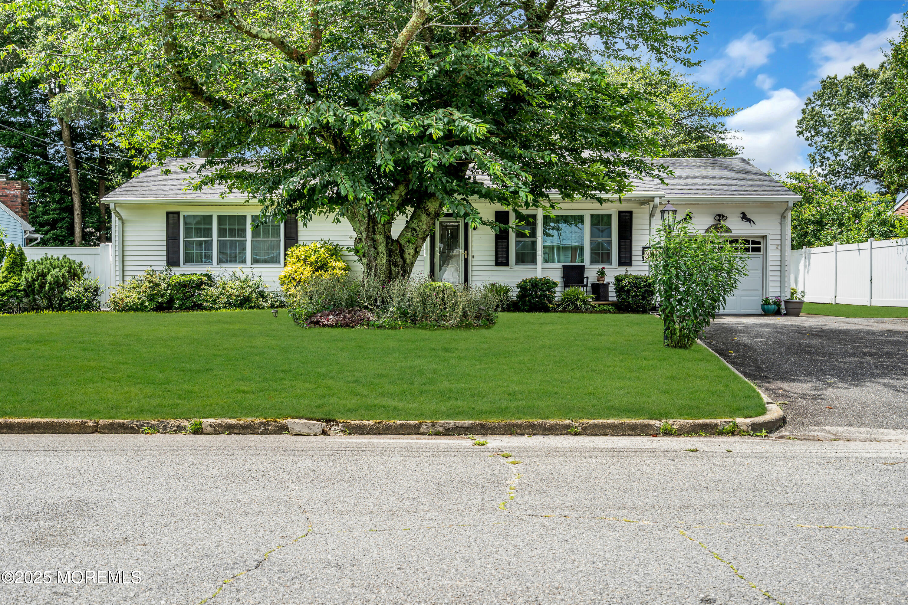 311 Pine Forest Lane Image 5
