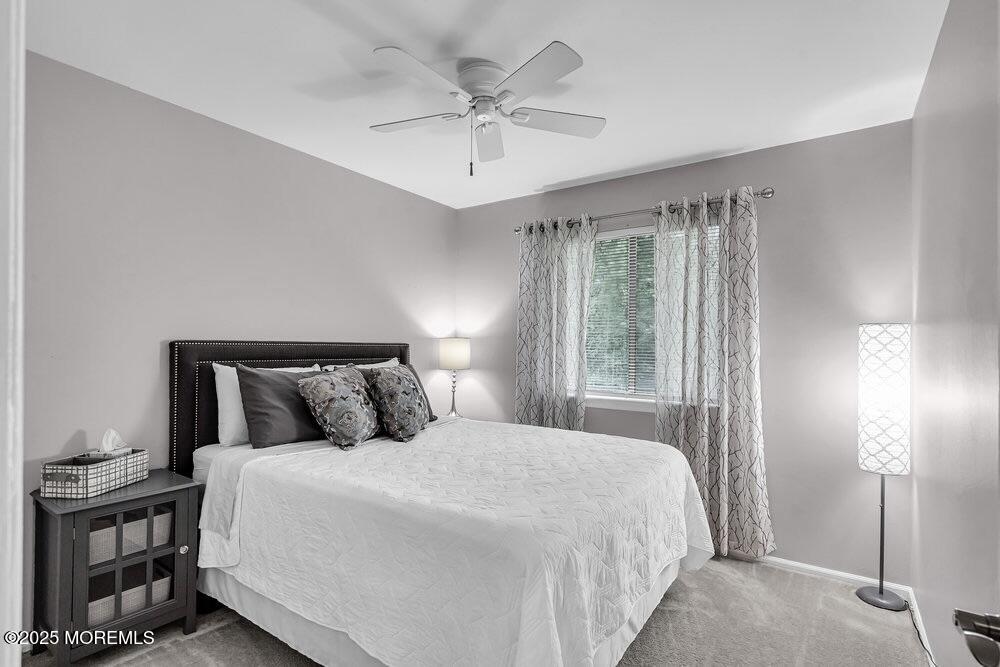 10 Peacock Place, Howell, NJ, 07731 image 12