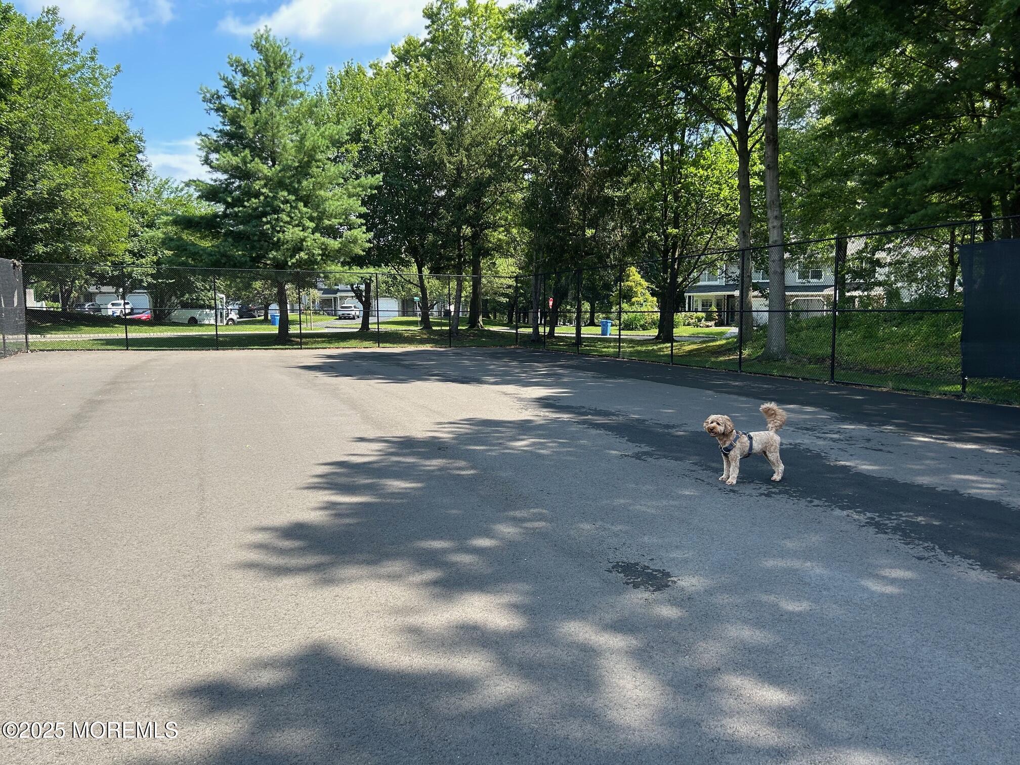 15 Saddle Court, Tinton Falls, NJ, 07753 image 21