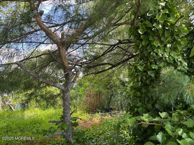 725 17th Avenue Image 2