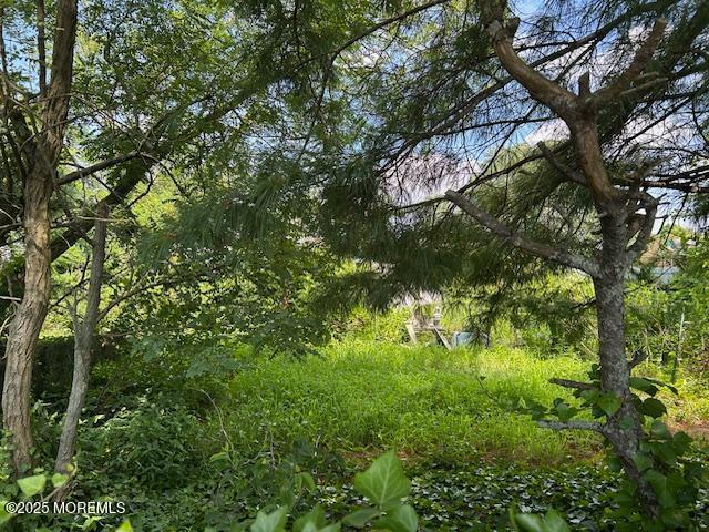 725 17th Avenue, Belmar, NJ, 07719 image 4