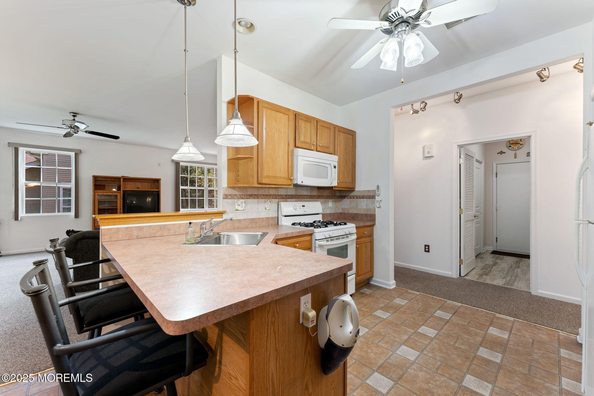 3 Pier Point, Little Egg Harbor, NJ, 08087 image 12