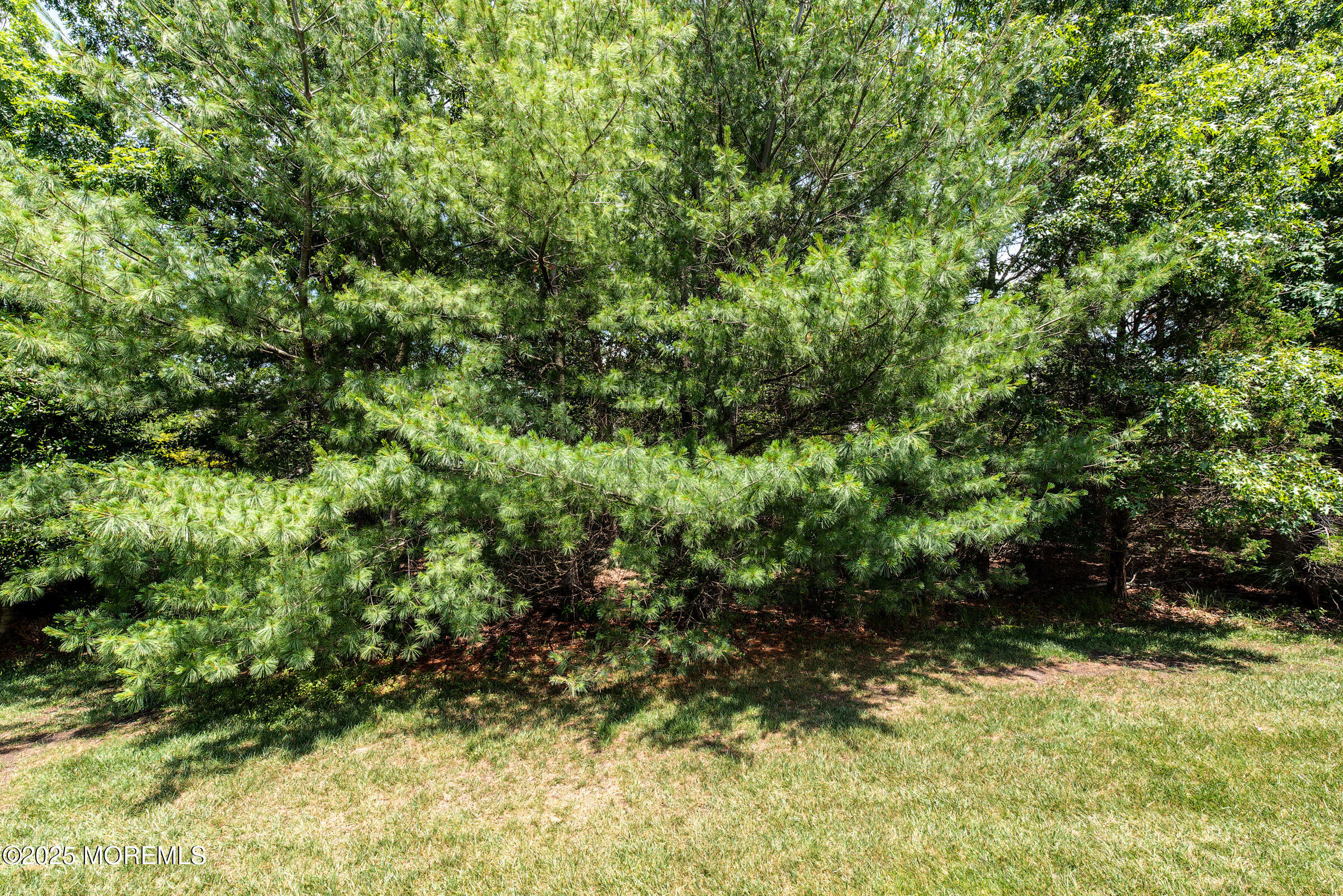 64 Portland Street, Barnegat, NJ, 08005 image 55