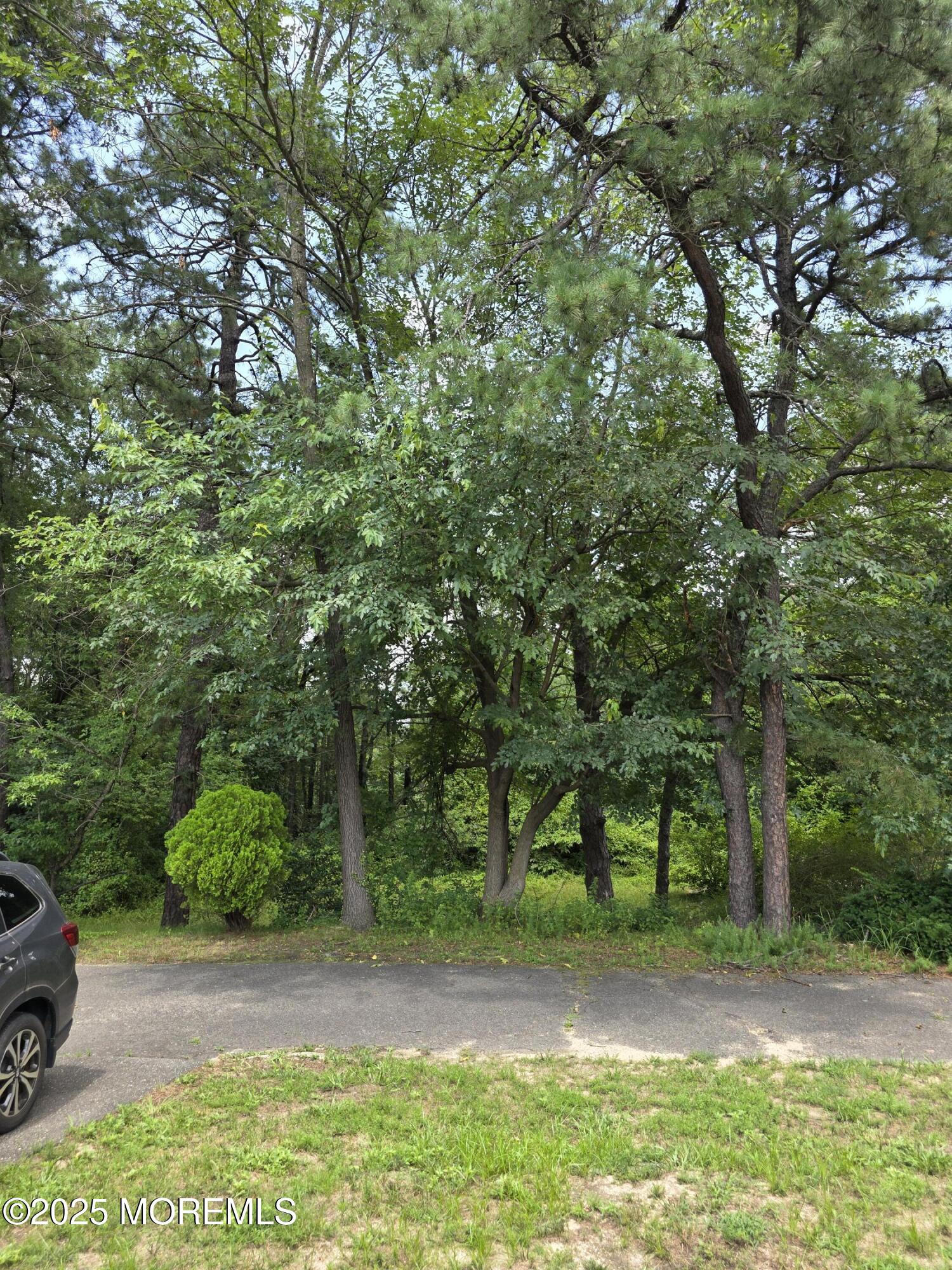 1 Flamingo Terrace A, Manchester, NJ, 08759 image 12