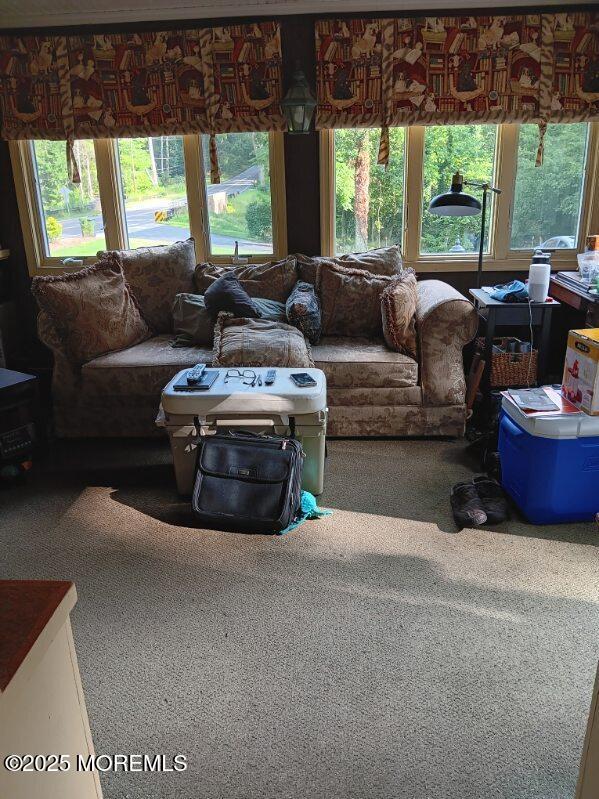 106 Holmes Mill Road, Cream Ridge, NJ, 08514 image 21