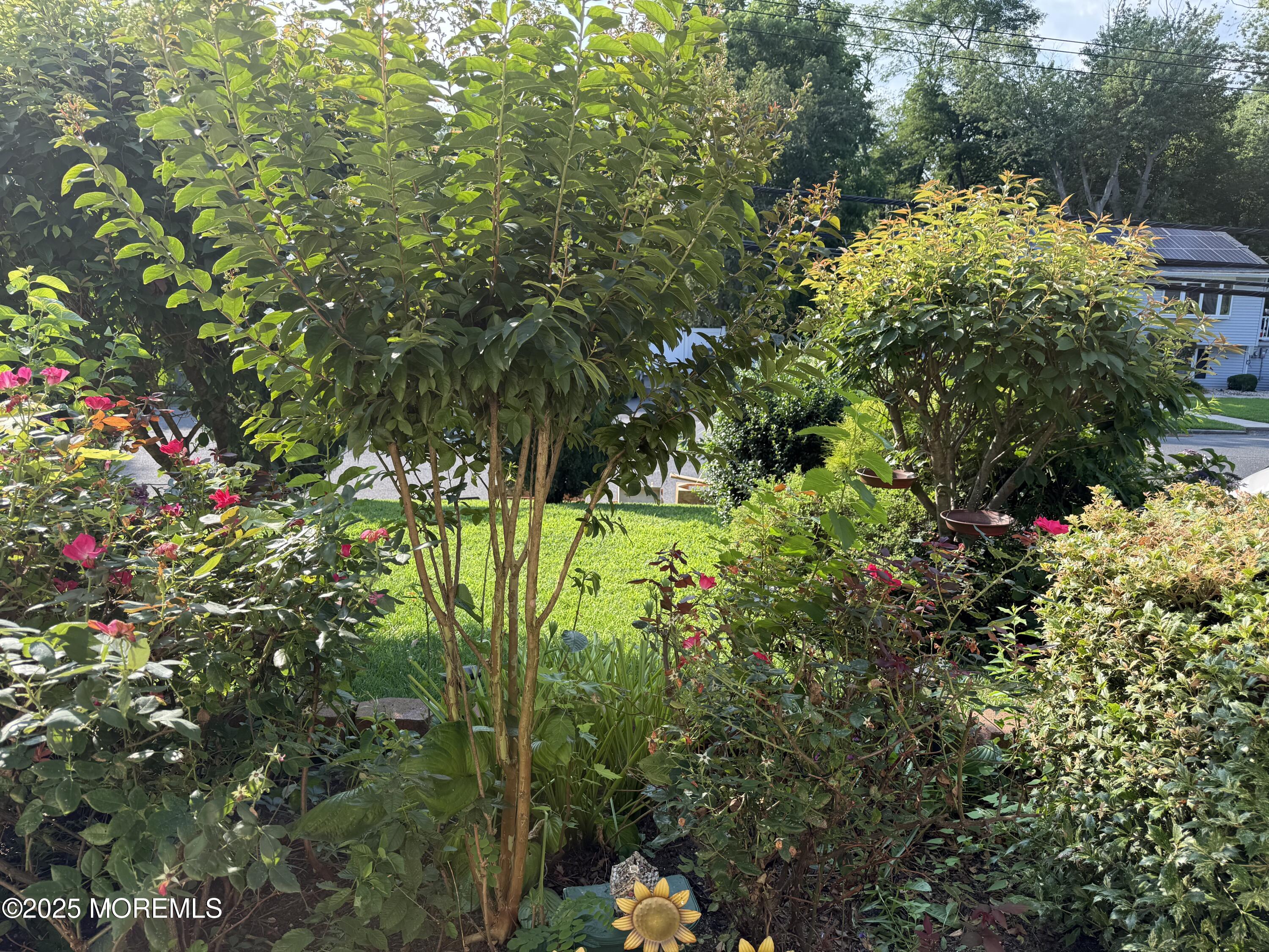608 Wayside Road, Neptune Township, NJ, 07753 image 25