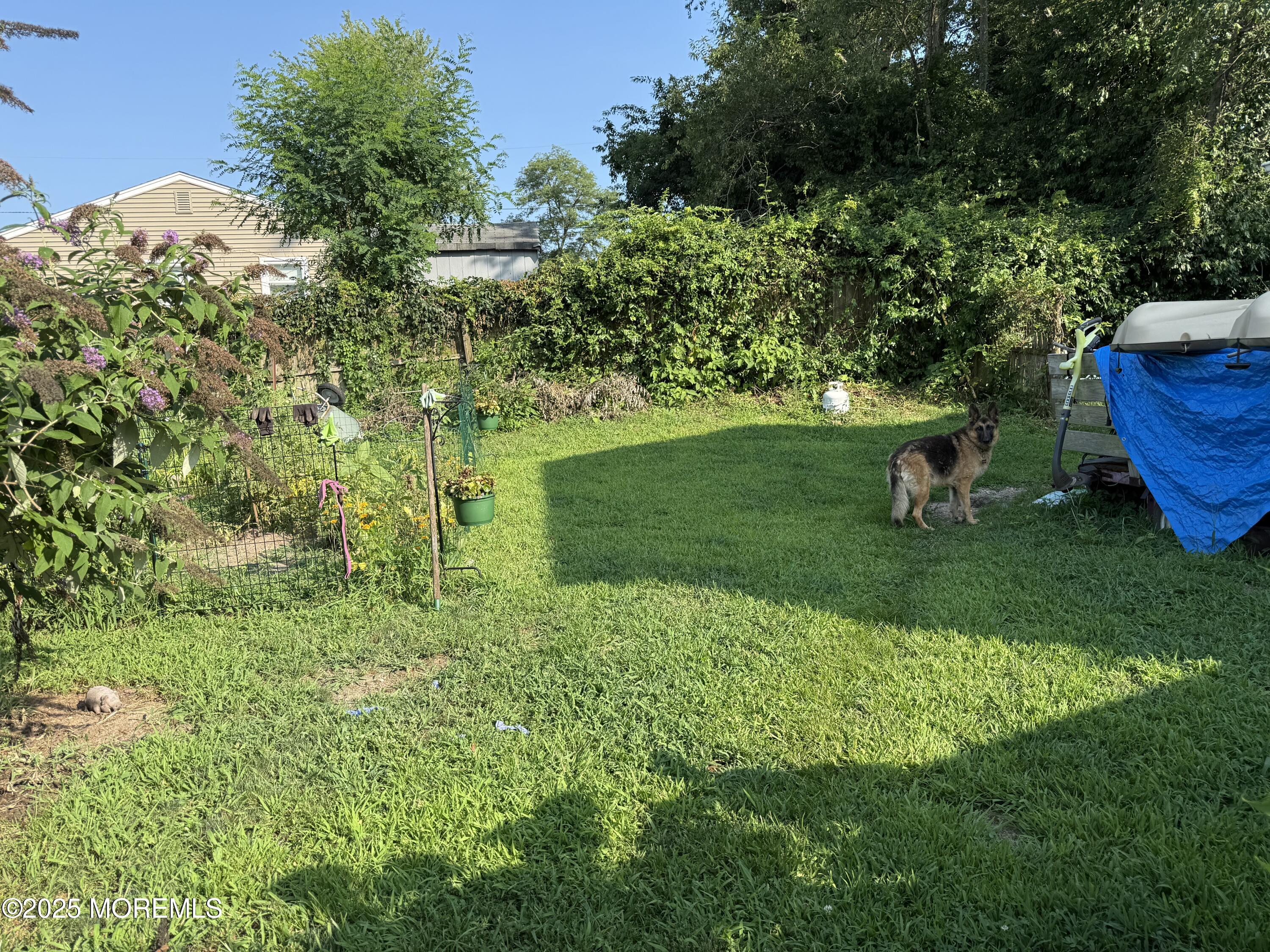 608 Wayside Road, Neptune Township, NJ, 07753 image 29