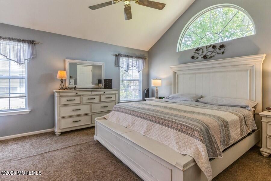 2520 Spring Hill Drive, Toms River, NJ, 08755 image 20