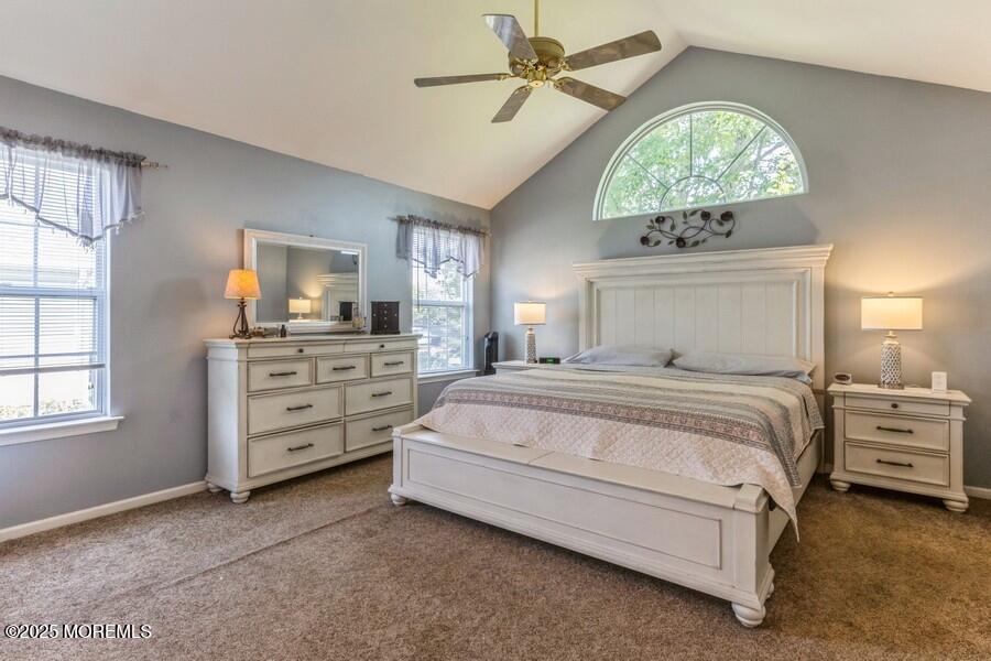 2520 Spring Hill Drive, Toms River, NJ, 08755 image 19