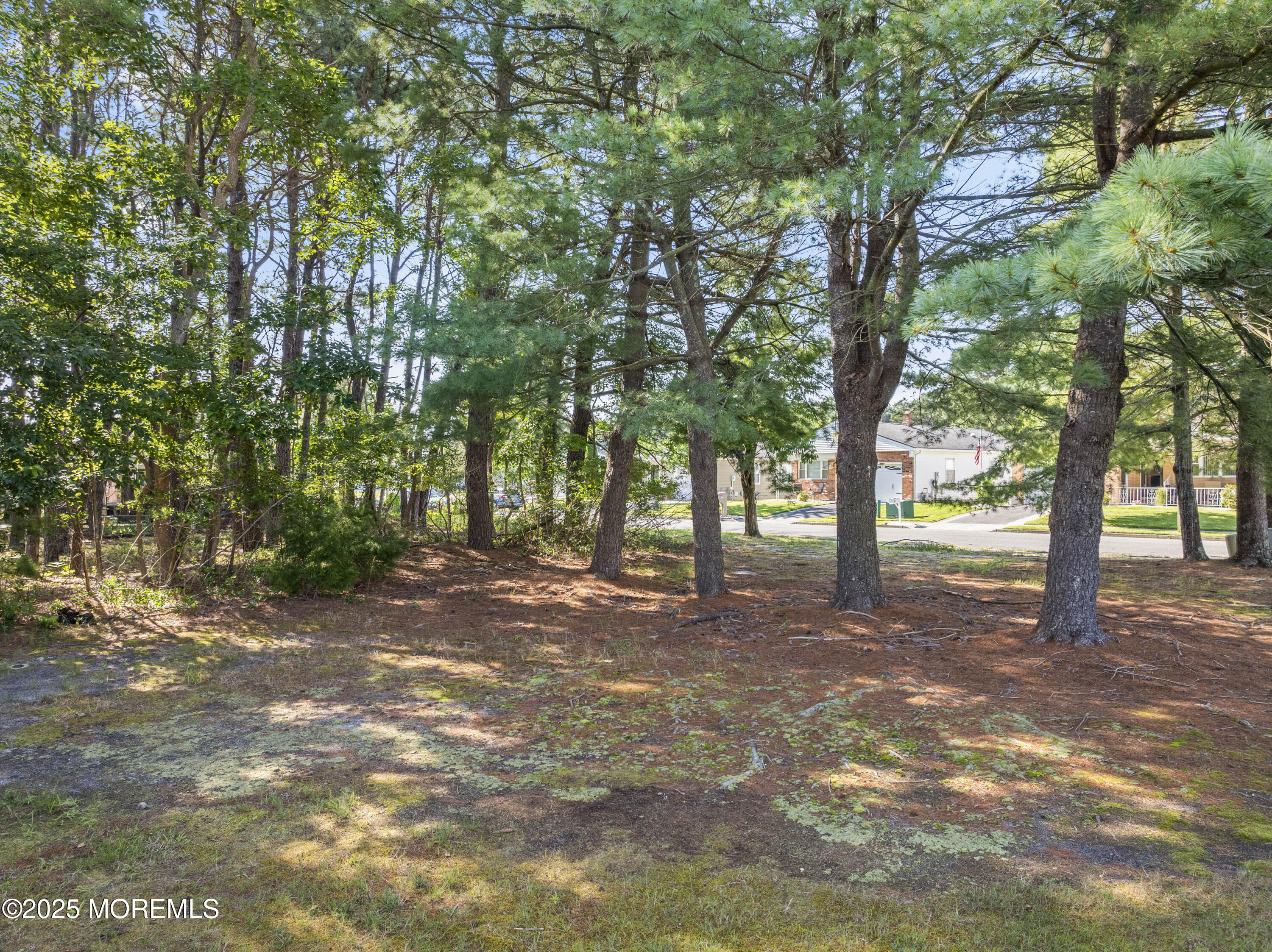 24 Selkirk Avenue, Toms River, NJ, 08757 image 24