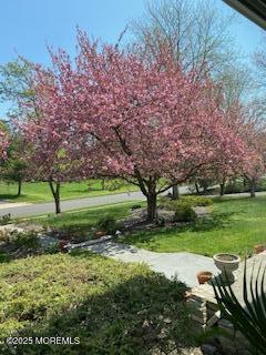 1623 Rustic Court, Wall, NJ, 07719 image 68