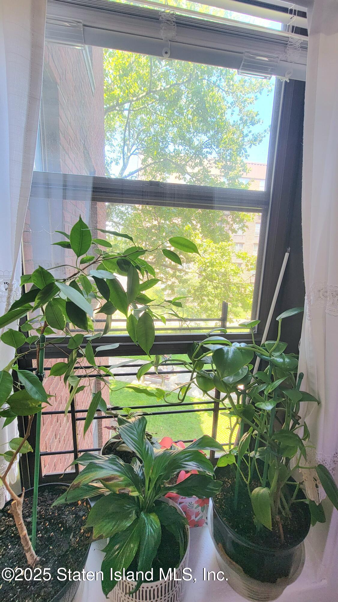 3105 Avenue V 3e, Brooklyn, NY, 11229 image 23