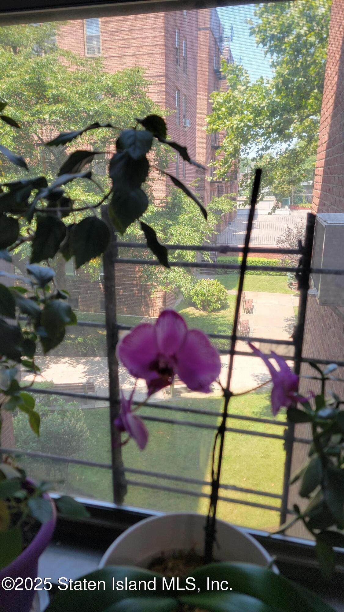 3105 Avenue V 3e, Brooklyn, NY, 11229 image 16