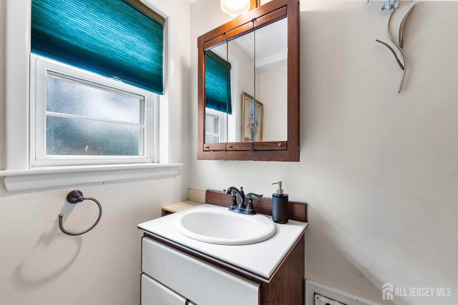 180 Farm Lane, Bound Brook, NJ, 08805 image 28