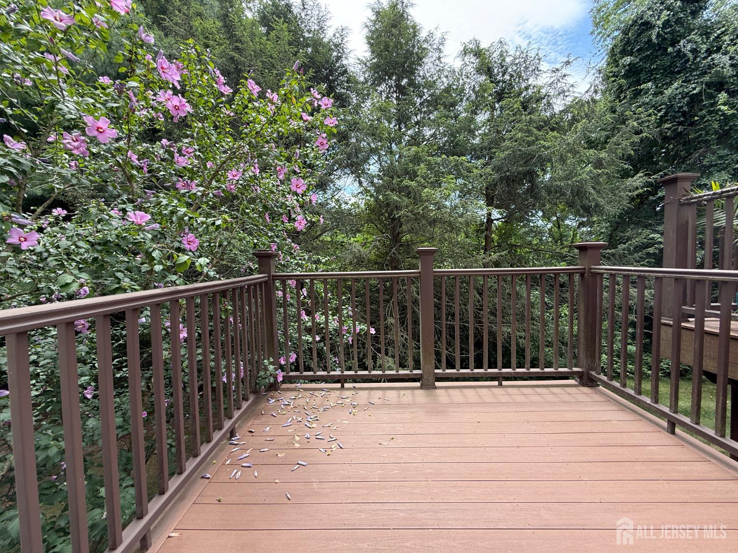 34 Heron Court, Manalapan, NJ, 07726 image 23