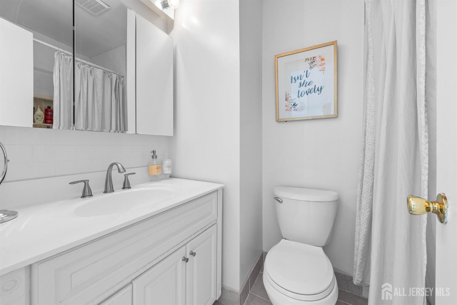 1058 Schmidt Lane, North Brunswick, NJ, 08902 image 21