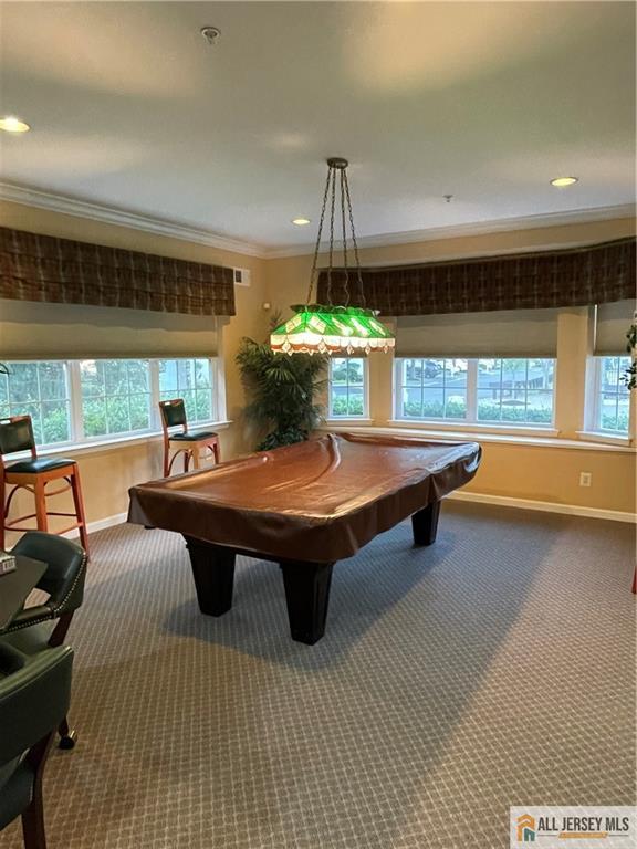 10 Holly Manor Court, Helmetta, NJ, 08828 image 40