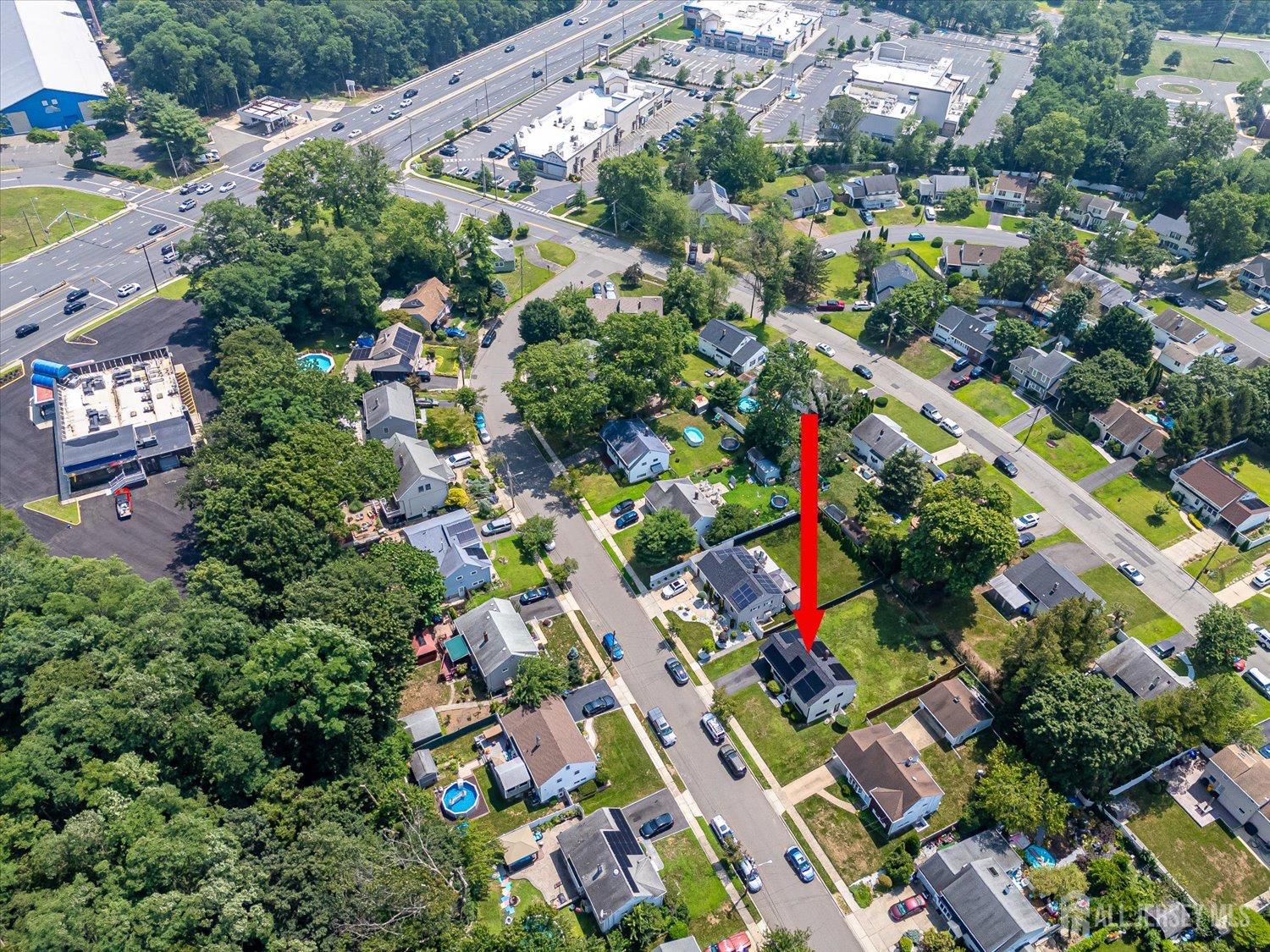 16 Shetland Road Image 5