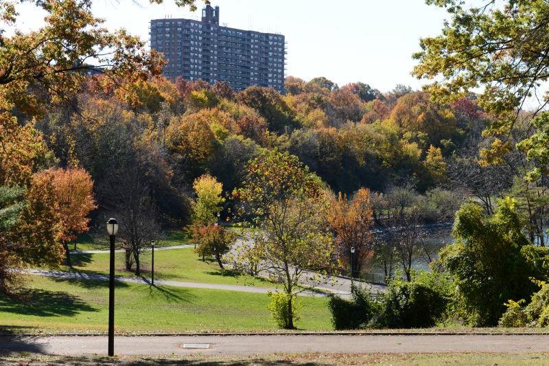 3 Silver Lake Road, Staten  Island, New York, 10301 image 17