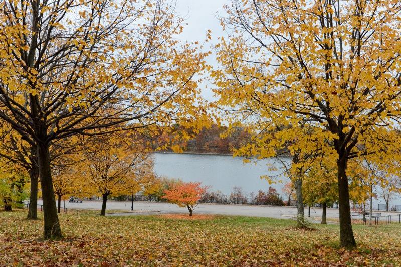 3 Silver Lake Road, Staten  Island, New York, 10301 image 19