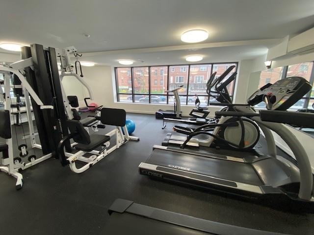 3041 Ocean Avenue PH4, Brooklyn, New York, 11235 image 19