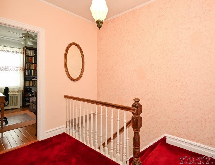 743 East 49th Street, Brooklyn, New York, 11203 image 16