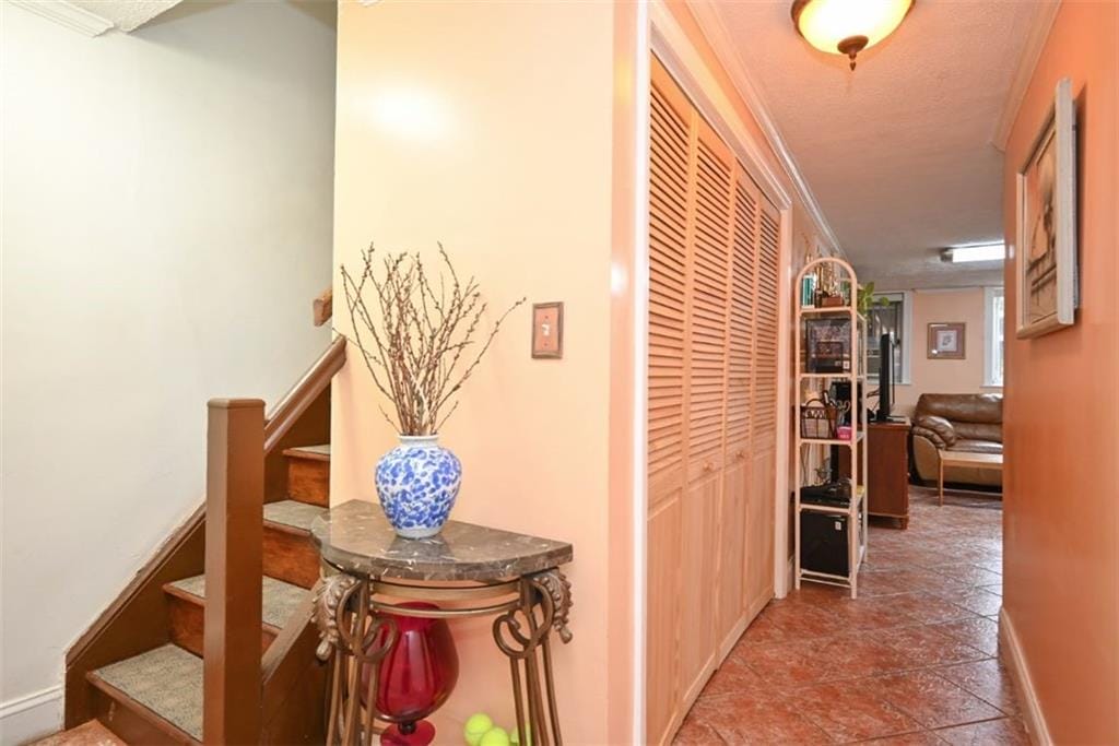 743 East 49th Street, Brooklyn, New York, 11203 image 18