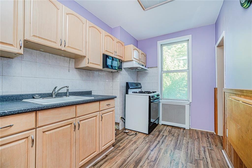 1610 10th Avenue, Brooklyn, New York, 11215 image 7