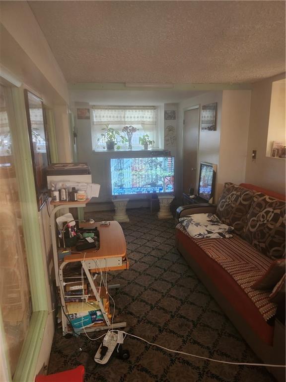 317 East 49th Street, Brooklyn, New York, 11203 image 8