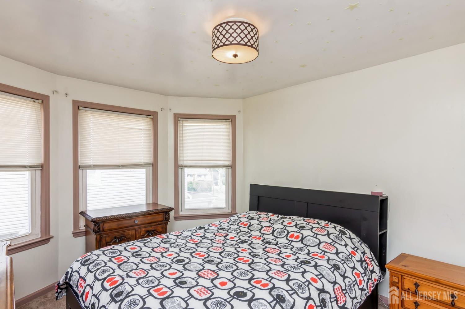 106 Union Avenue, Middlesex, NJ, 08856 image 21