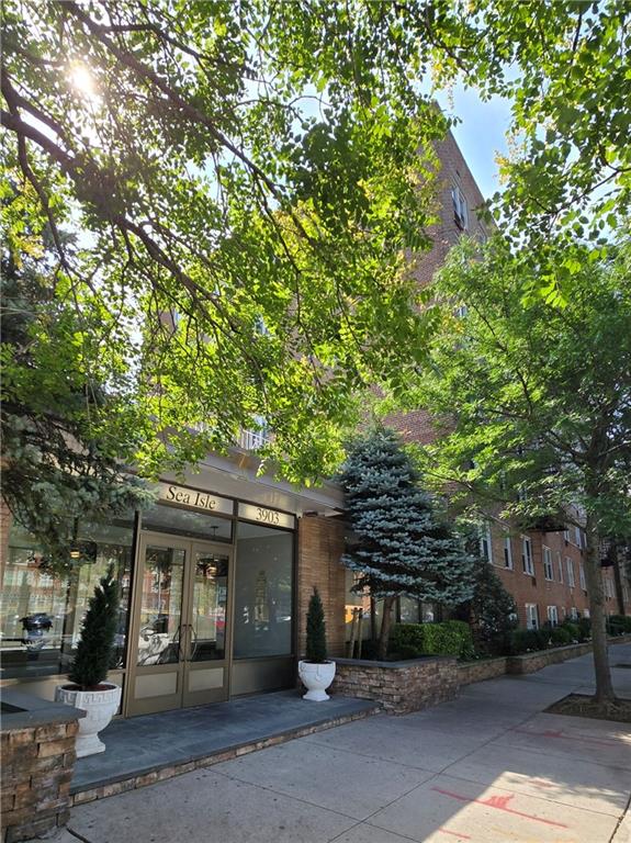 3903 Nostrand Avenue 3J Image 1