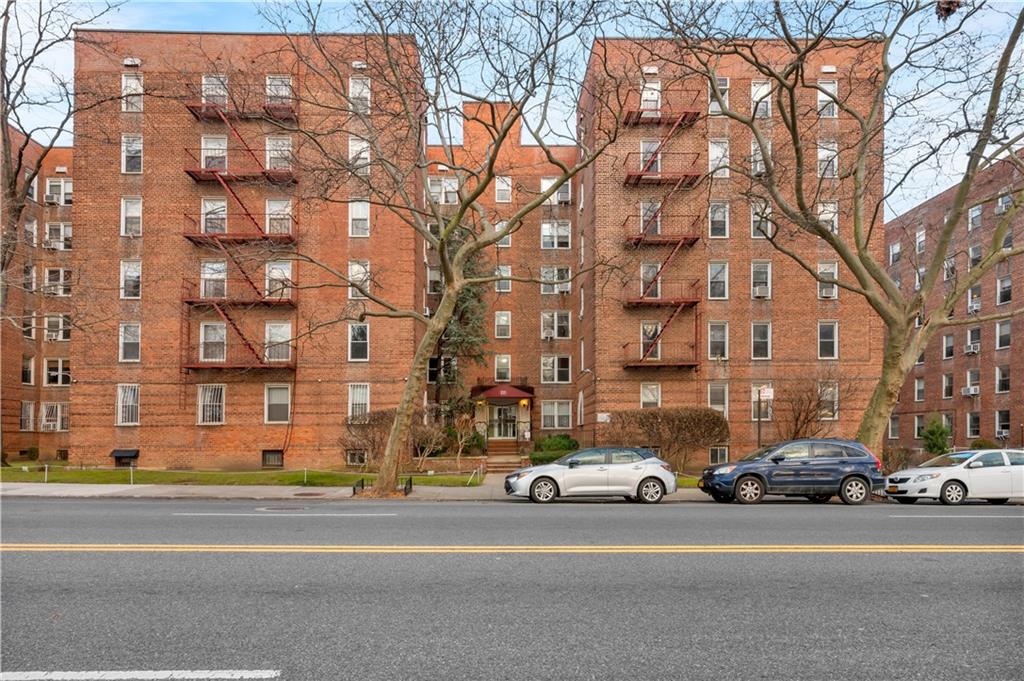 221 McDonald Avenue 3P, Brooklyn, New York, 11218 image 20