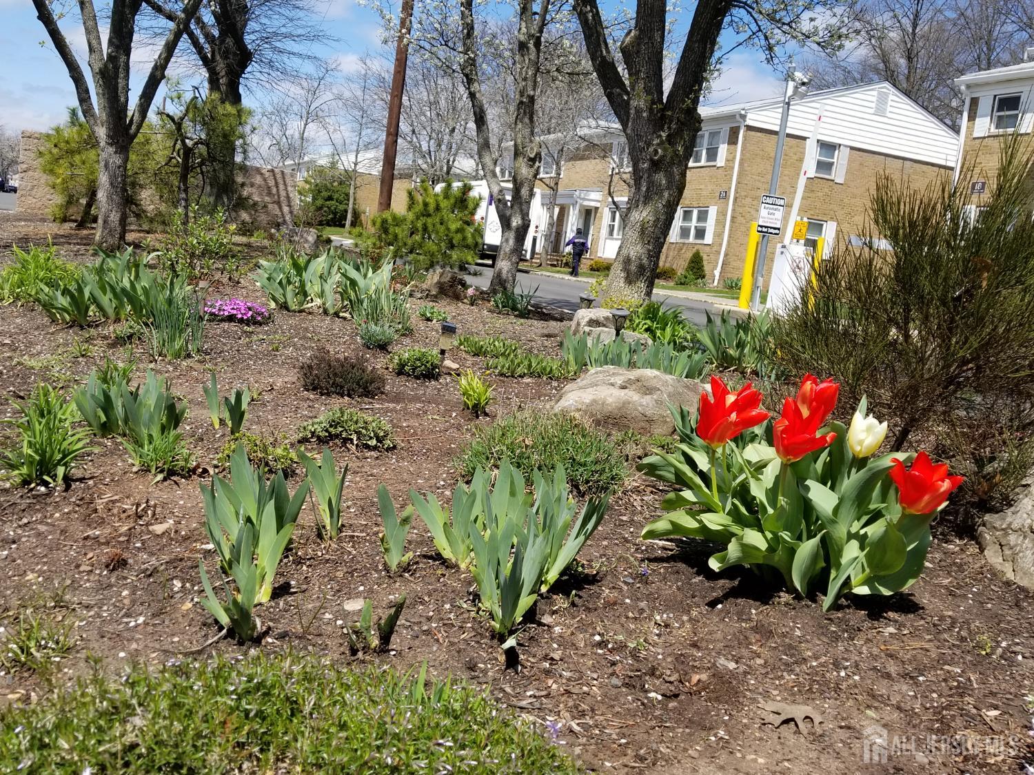 47 Judson Street 9A Image 3
