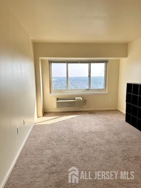 110 Somerset Street 2101, New Brunswick, NJ, 08901 image 7