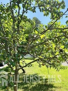 383 S Stump Tavern Road, Jackson, NJ, 08527 image 35