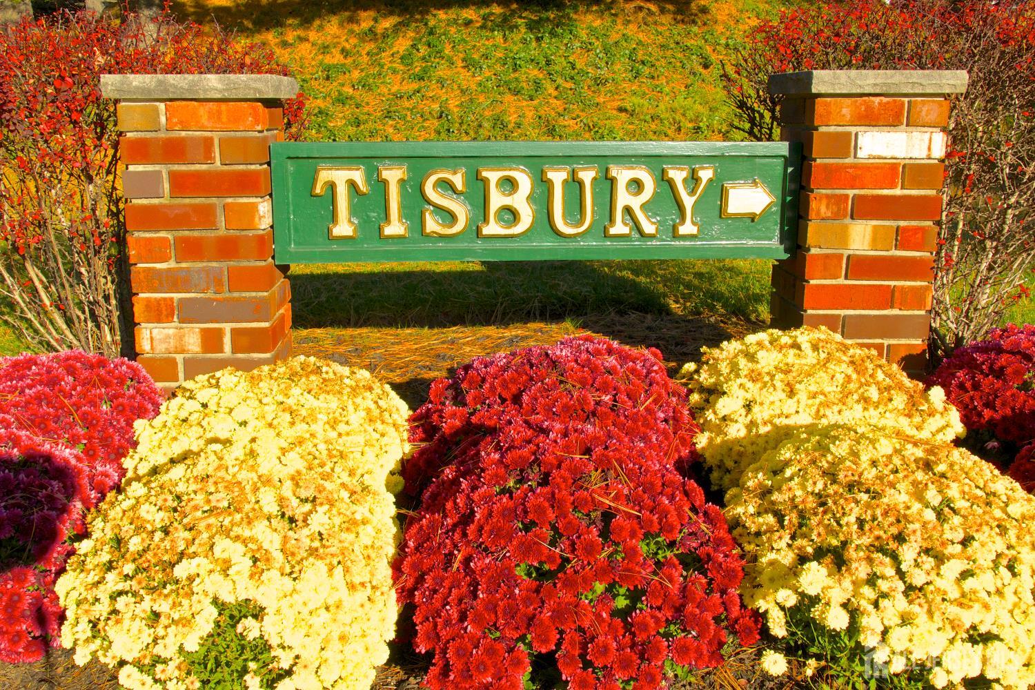 7 Tisbury Court Image 3