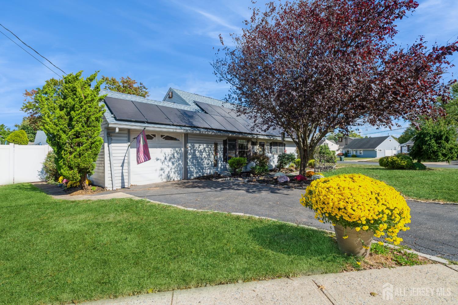 23 Colfax Road Image 5