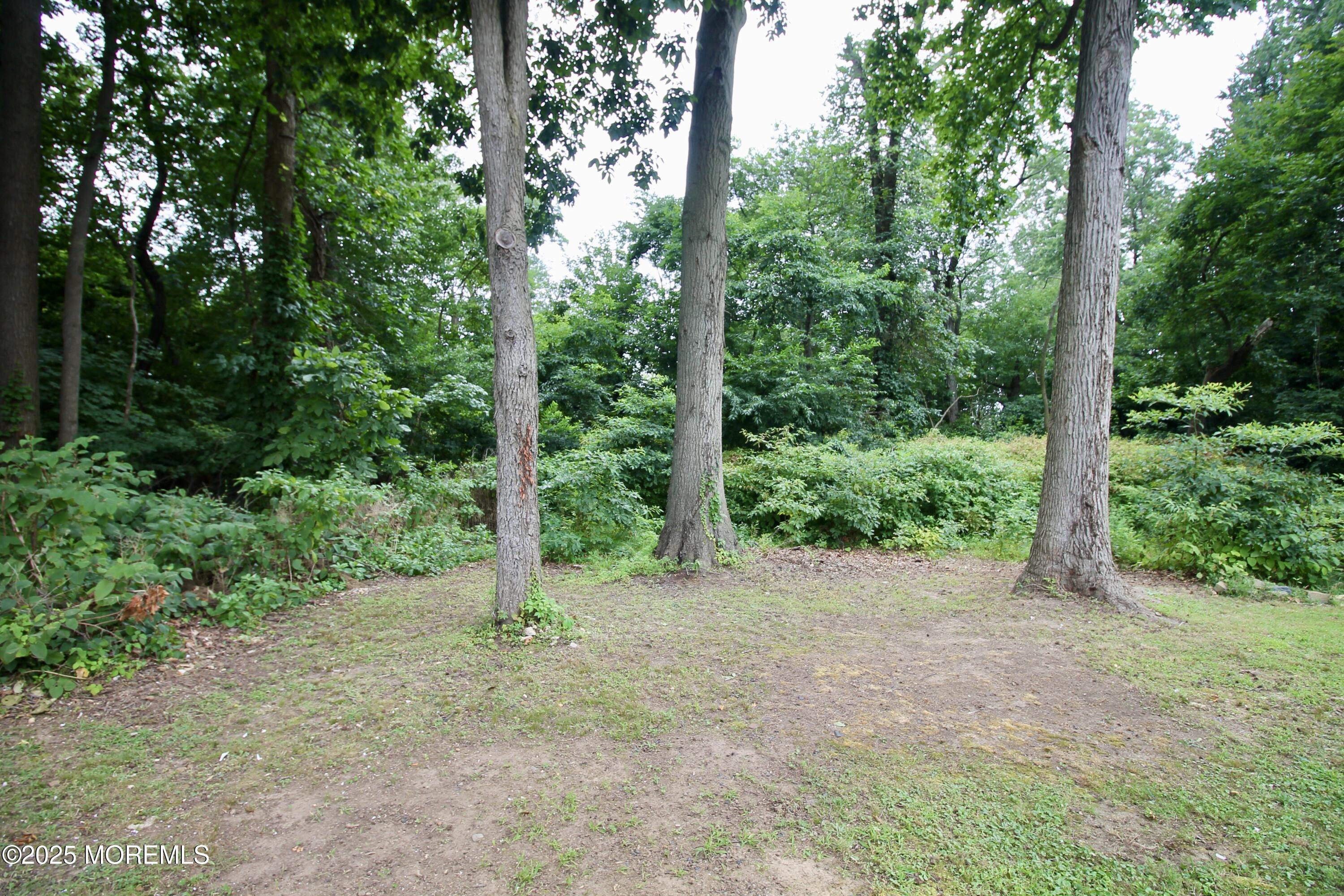 33 Weaverville Road, Freehold, NJ, 07728 image 24