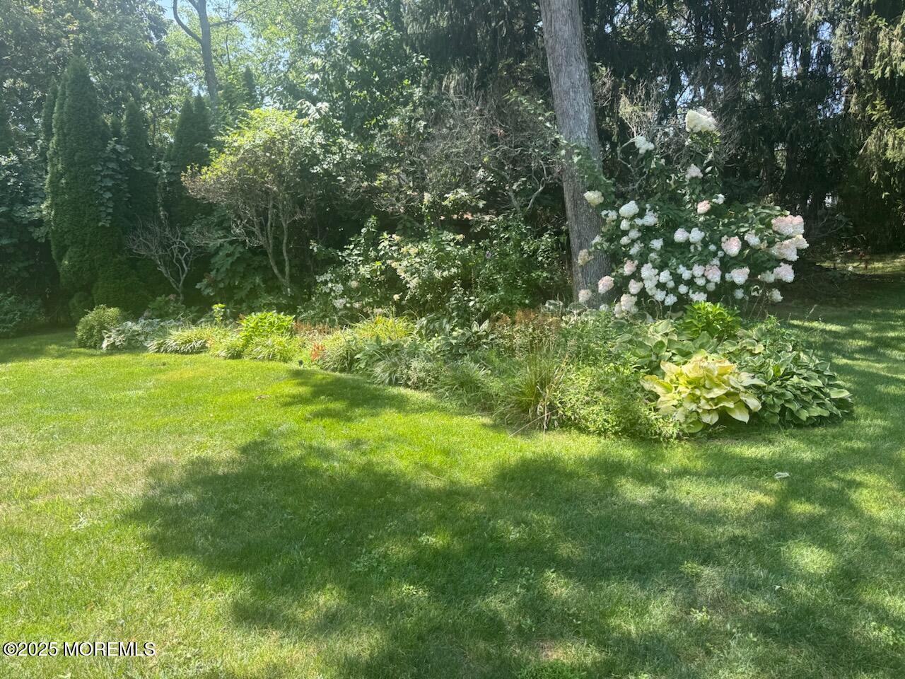 1590 Holly Boulevard, Manasquan, NJ, 08736 image 7
