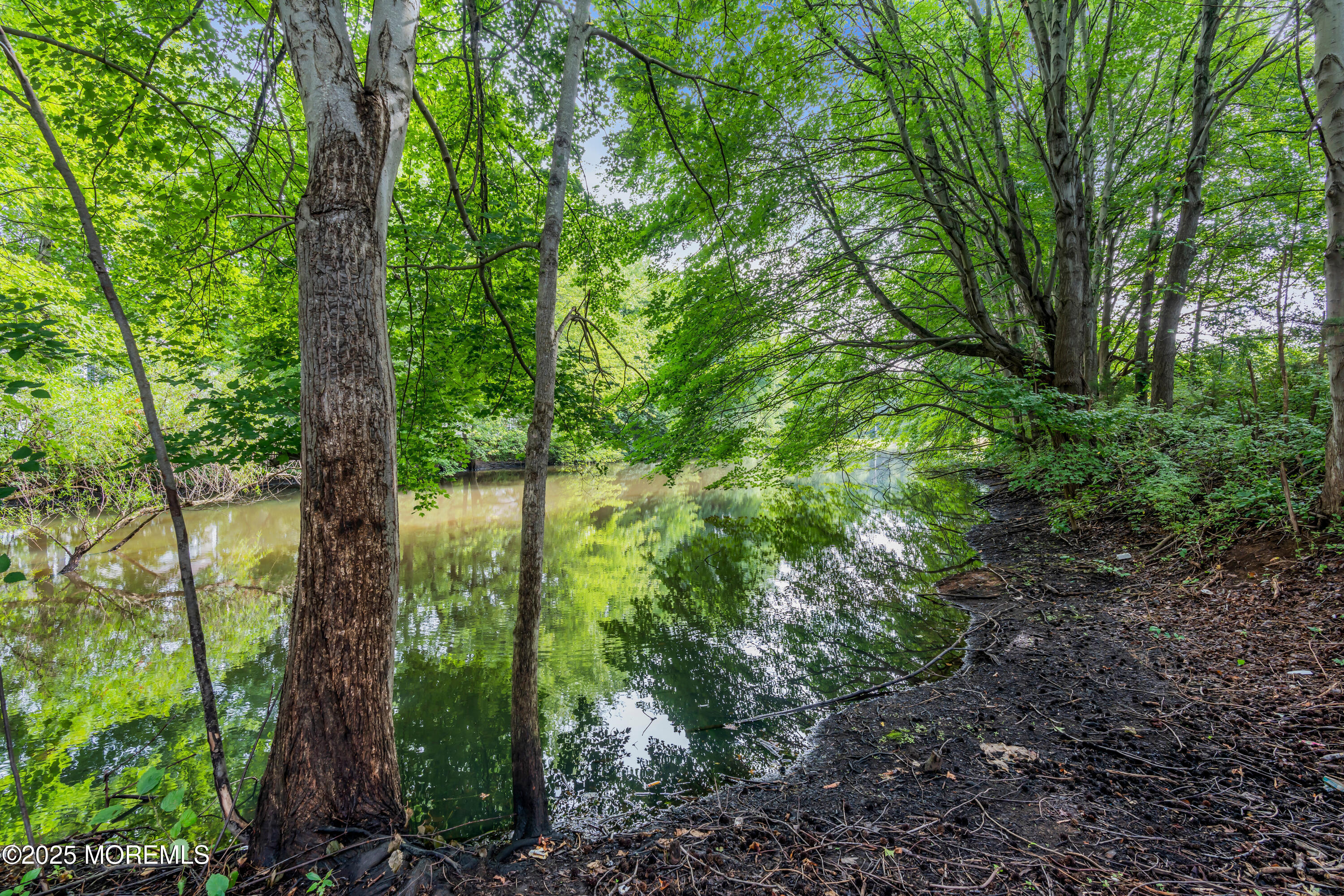 149 Shinnecock Drive, Manalapan, NJ, 07726 image 38